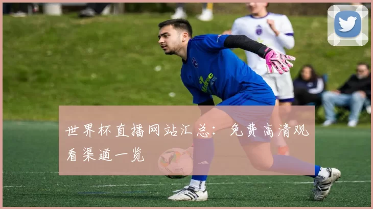 世界杯直播网站汇总：免费高清观看渠道一览