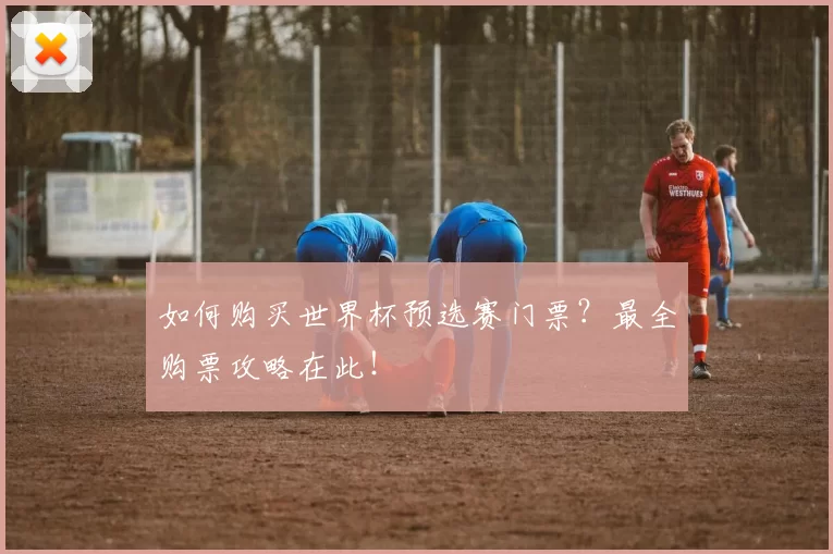 如何购买世界杯预选赛门票?最全购票攻略在此!