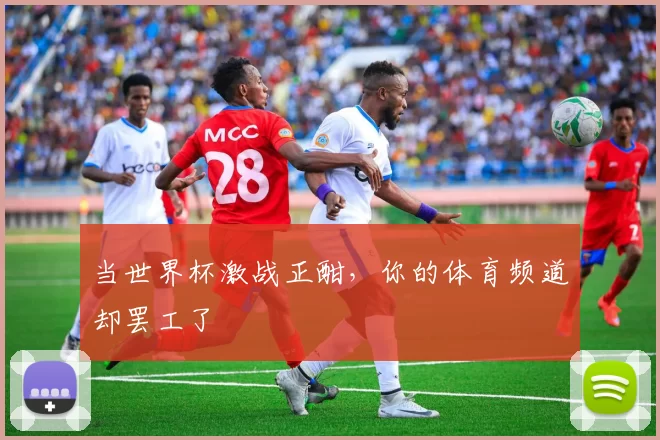 当世界杯激战正酣，你的体育频道却罢工了