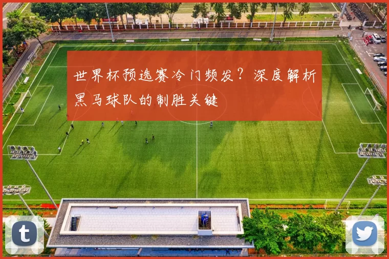 世界杯预选赛冷门频发？深度解析黑马球队的制胜关键