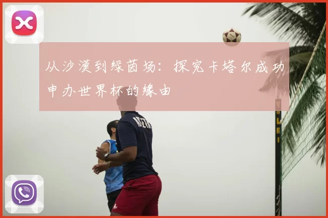从沙漠到绿茵场：探究卡塔尔成功申办世界杯的缘由