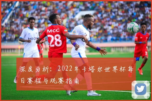 深度分析:2022年卡塔尔世界杯每日赛程与观赛指南