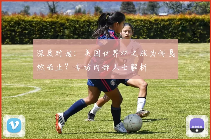 深度对话：美国世界杯之旅为何戛然而止？专访内部人士解析