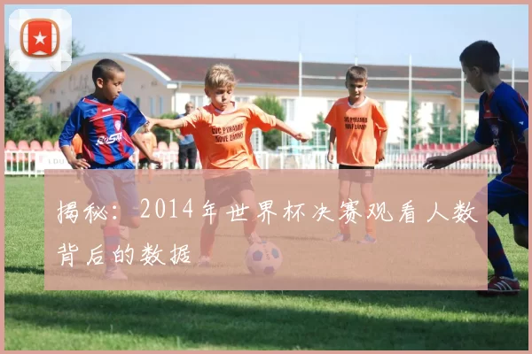 揭秘:2014年世界杯决赛观看人数背后的数据