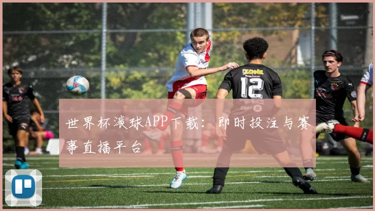 世界杯滚球APP下载：即时投注与赛事直播平台