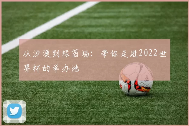 从沙漠到绿茵场:带你走进2022世界杯的举办地
