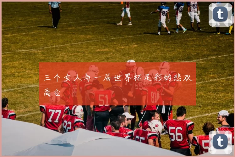 三个女人与一届世界杯足彩的悲欢离合
