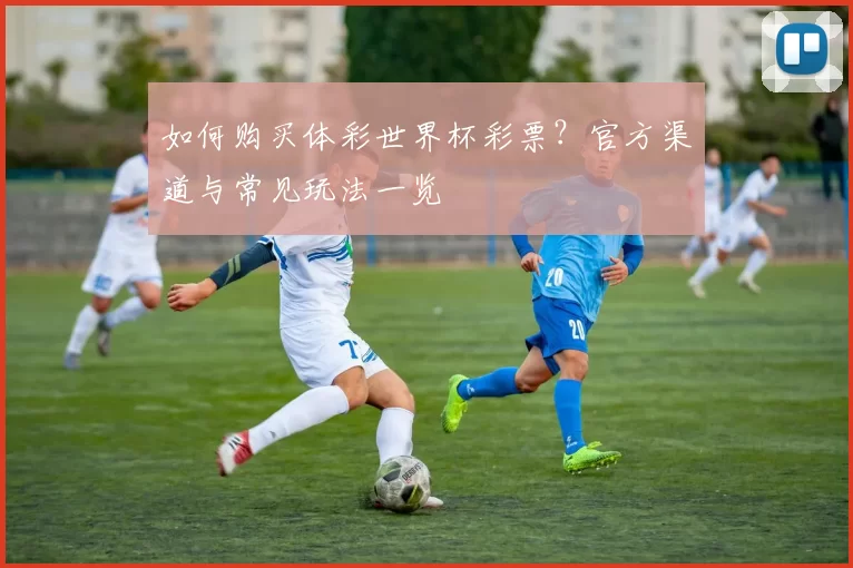 如何购买体彩世界杯彩票？官方渠道与常见玩法一览