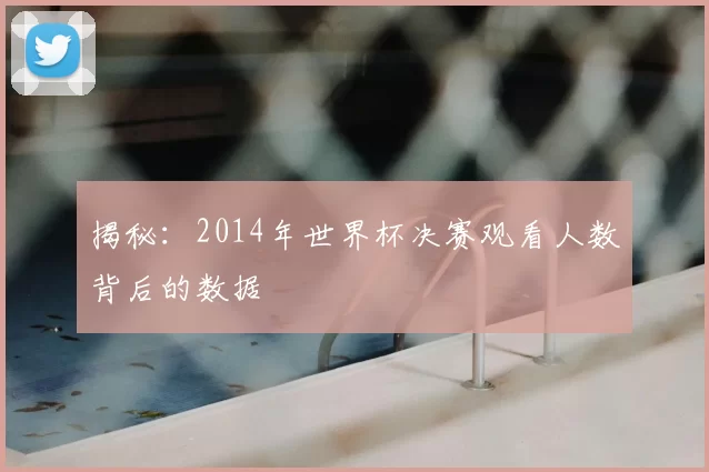 揭秘:2014年世界杯决赛观看人数背后的数据