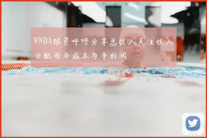 WNBA球员呼吁分享总收入关注收入分配而非成本与净利润
